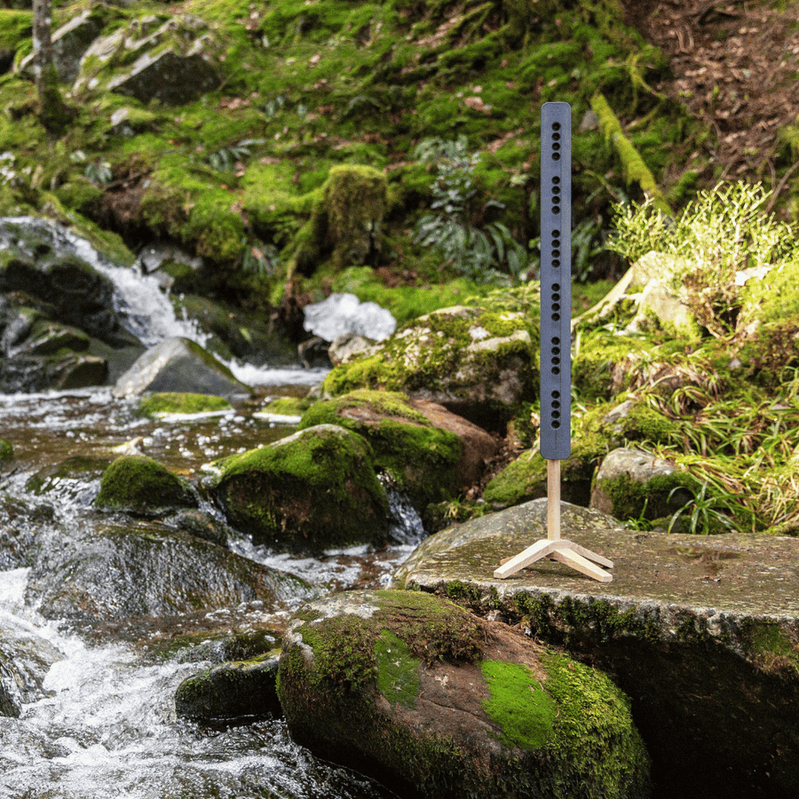 Purification par ionisation