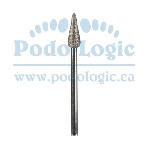 H27S - Fraise "chapeau de sorcière"