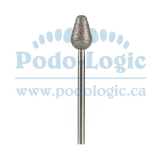 H29 - Fraise "grosse poire"