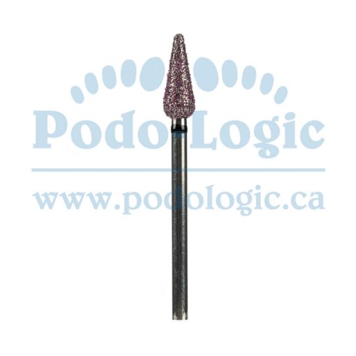 H30 - Fraise "Chapeau de sorcière"